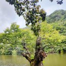 산꾼이네