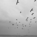 베라데로 이미지