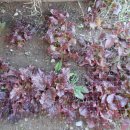 (주)히지노 이미지