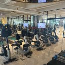 옐로우피티 이미지