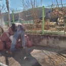 태양드림빌 이미지