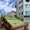 Green Roof 오두막 이미지