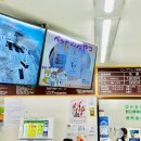 흔들목장 이미지