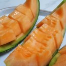 준희네농장 이미지