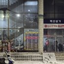 문미호소아과 | 문미호소아과 영유아 검진 돌 검진 예약 솔직 후기