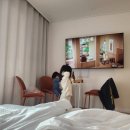 새재리아 이미지