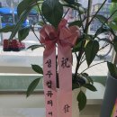 슈올즈 대전중앙시장점 이미지