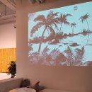 덕정중학교 | 양주 대형카페 제주 야자수가 있는 도아시스ㅣ목욕탕이었던 덕정동 카페