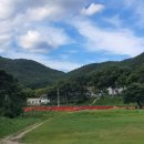 카페보경로498 | 포항 보경사 맨드라미 후기