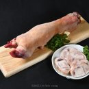 사진촬영 이미지