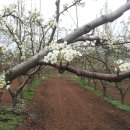 희구농장 이미지