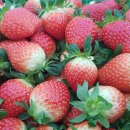 학산리농장 이미지