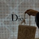 서플짐 | 디올 : Dior Caro Glycine 지갑 블랙 서플 까나쥬 송아지 가죽 구매후기