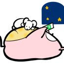 페이퍼로즈
