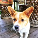 금당아트 밸리 이미지