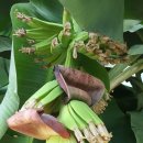 방주농장 이미지