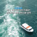 기온 | 일본 5월 도쿠시마 날씨 비와 기온 체감 후기 여행 채비