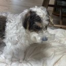 단골가개 이미지