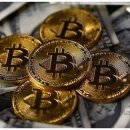 넥스트(NEXT) 이미지