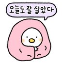 바다마을해군어린이집 이미지