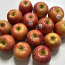 예산청과 | 고품격 엔비사과 후기! 프리미엄 고당도 예산엔비사과🍎