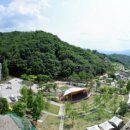 포천 Daum카페
