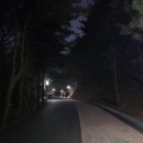 행주산성 제2주차장 화장실 | [2026 행주산성 야간개장] 서울 근교 야경 명소 행주산성 정보 및 야경 후기+둘째,넷째주 토요일