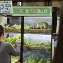 녹원쌈밥 이미지