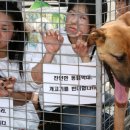 The Man's Dog 이미지