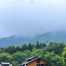 꿈을여행하다 | 여행을 도전했다가 일기예보에 뒷통수를 맞다. 시라이토폭포, 타누키호, 후지산 꿈의 대교를 여행하다.