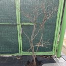 준성농장 이미지