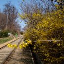 수목원약수터 이미지