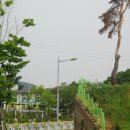 왕북초등학교 이미지