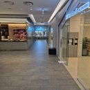 송파어린이영어 | [송파] 북팡 어린이 영어 중고서점