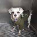 범일중학교 이미지