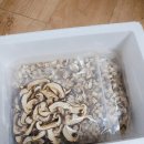 옛산골농장 이미지