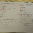 Geometry-p | [공지] 미국 수학부터 AP Calculus, DSAT math까지 집에서 꼼꼼하게 완성하세요! (2026–2027 Academic...