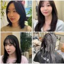인싸력 UP! 잠실미용실에서 인생 헤어 찾기