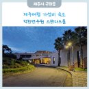 덕천24퍼펙트워시 | 제주도 구좌읍 청결한 가성비 숙소 덕천연수원 (스탠다드룸 / 조식 / 부대시설)