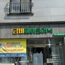 대구동구탈모관리 : 금비헤어클리닉 두피디톡스 후기