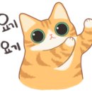 이솔어린이집 이미지