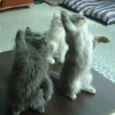 나도나도 이미지