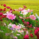 대구종합유통단지 산업용재관 이미지