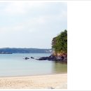 월성인쇄 이미지