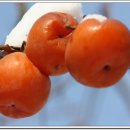 과일방 - 논산시 계백로 791 | 과일방