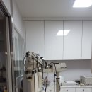 한밭 동물병원 이미지