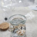 마리모 | 마리모 키우기 후기｜아이와 함께 만든 마리모 키트, 5개월 변화 기록