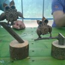 오동나무농장 이미지