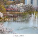 창녕 영산 만년교 이미지