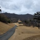 동락길 | 충주 세일cc 봄? 라운딩 후기